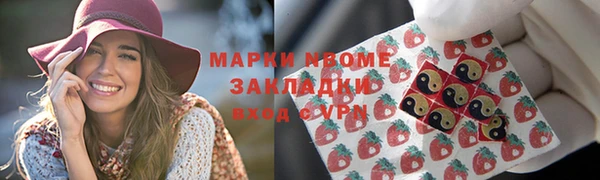 гидра Аркадак